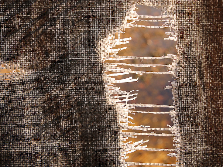 Tearing fabric